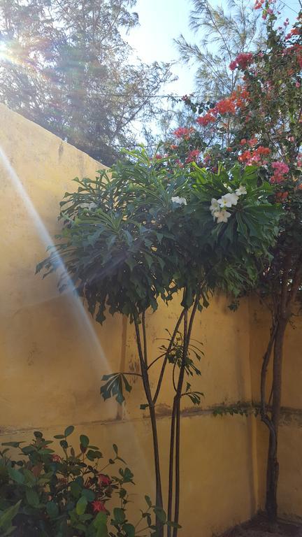 Pousada Agua Marinha Canoa Quebrada Eksteriør billede